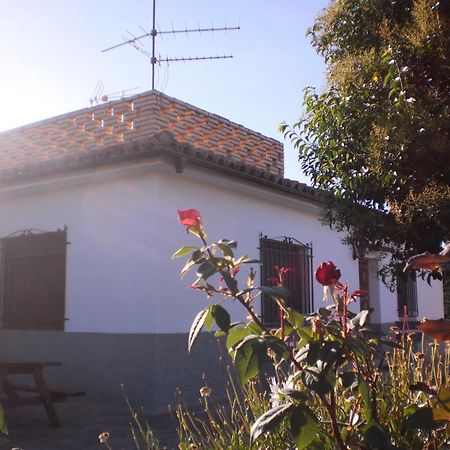 Casa Los Olivos Gravalos Ngoại thất bức ảnh