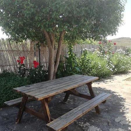 Casa Los Olivos Gravalos Ngoại thất bức ảnh