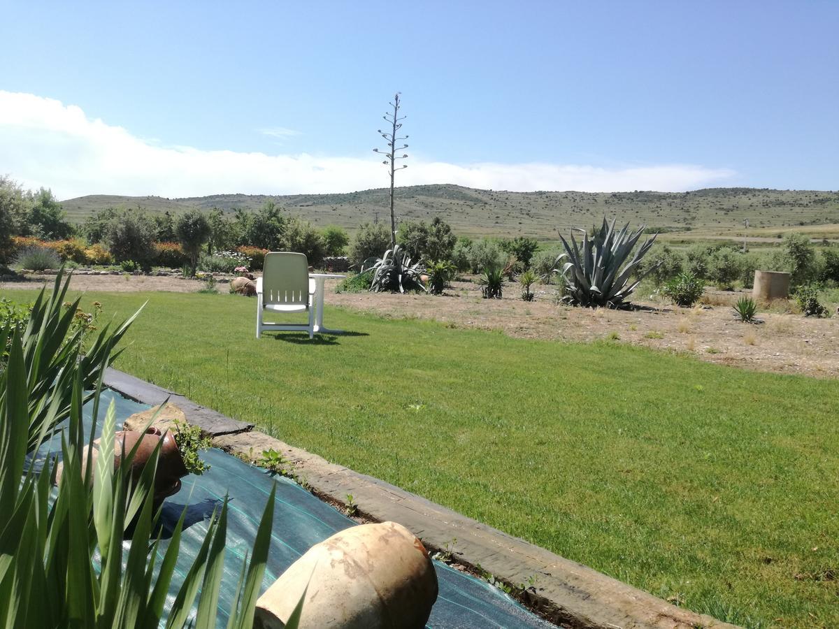 Casa Los Olivos Gravalos Ngoại thất bức ảnh